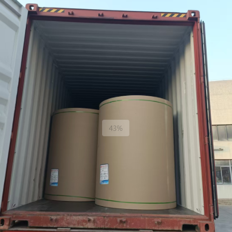 原木卷纸、纸张可以走集装箱海运吗，，需要注重什么？？